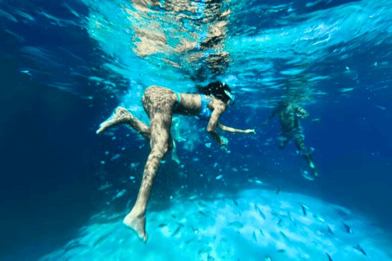 From Trapani: Favignana and Levanzo Island Day Cruise - Comparing Similar Tours and Why This One Stands Out