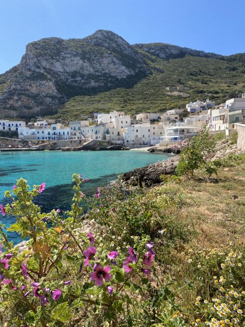 From Trapani: Favignana and Levanzo Mini Cruise with Lunch - The Value of the Full-Day Island Trip from Trapani