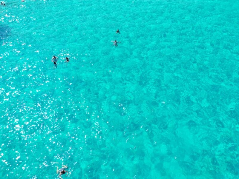 From Trapani: Favignana and Levanzo Yacht Tour with Stops - Similar Experiences and Alternatives