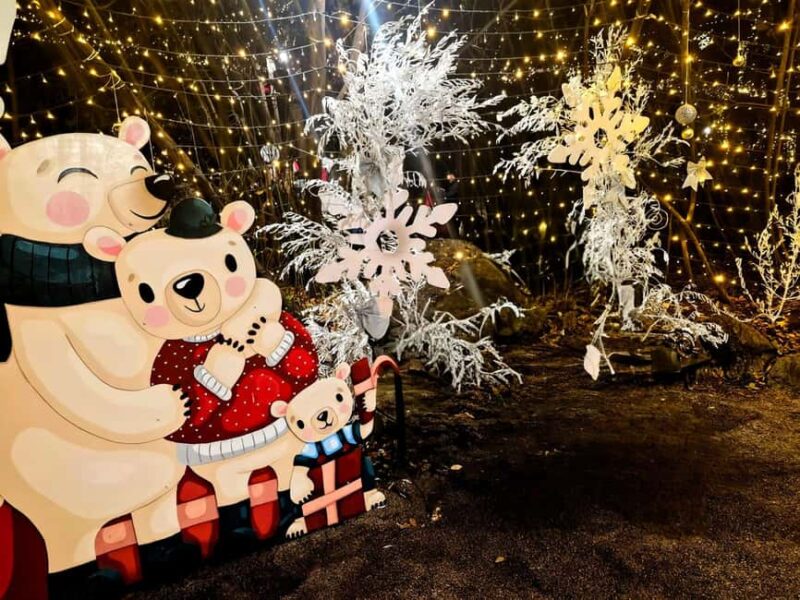 FROM TRIESTE: Opatija Christmas Markets Tour with Wine - Frequently Asked Questions