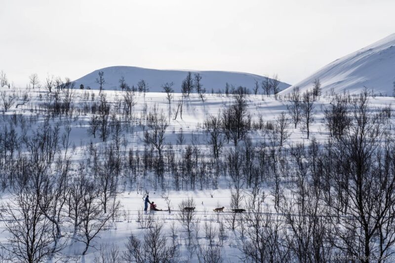 From Tromsø: Advanced Dog Sledding Tour at Camp Tamok - Meeting the Friendly Huskies at Camp Tamok