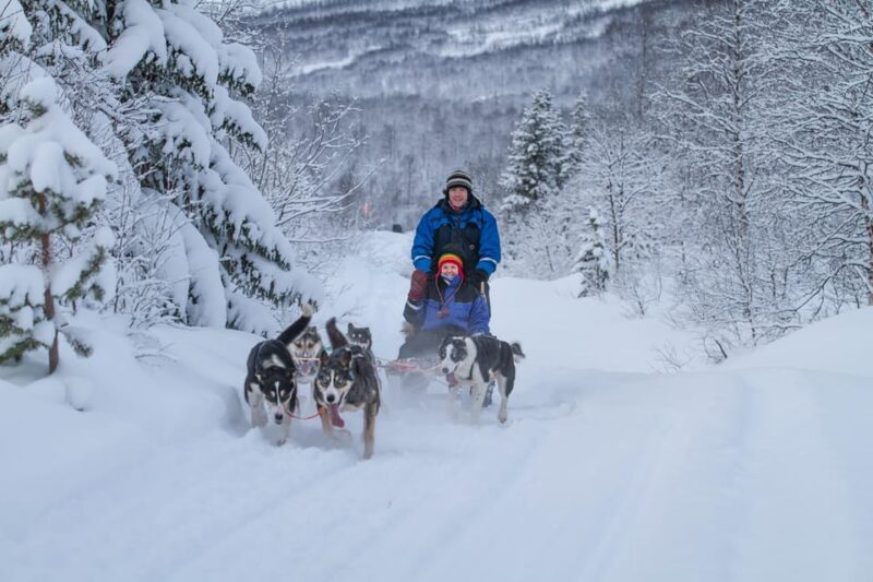 From Tromsø: Advanced Dog Sledding Tour at Camp Tamok - Cuddling Huskies and Photo Opportunities