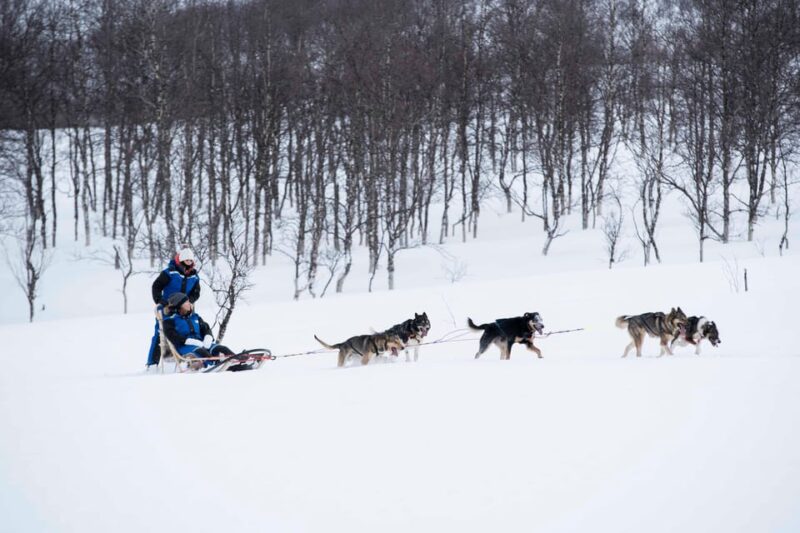 From Tromsø: Advanced Dog Sledding Tour at Camp Tamok - Physical Fitness and Safety Considerations