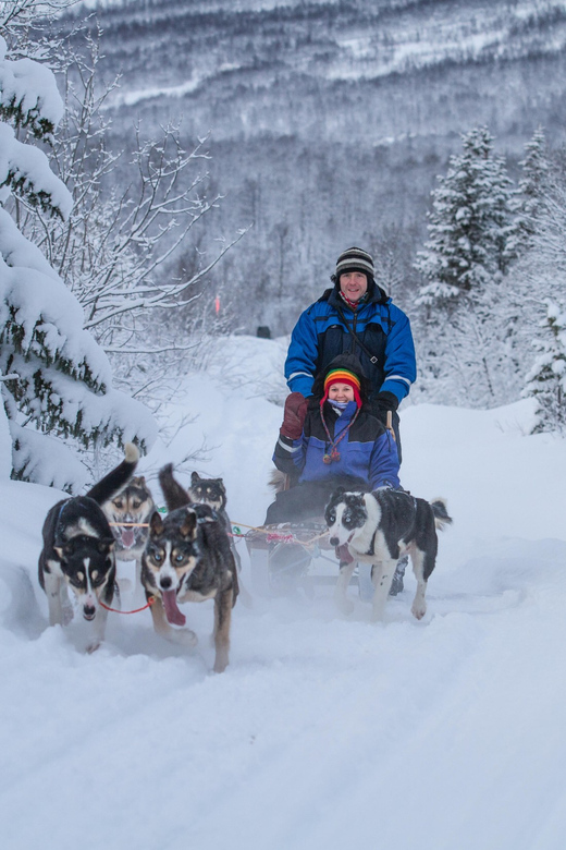 From Tromsø: Advanced Dog Sledding Tour at Camp Tamok - Food, Clothing, and Packing Tips