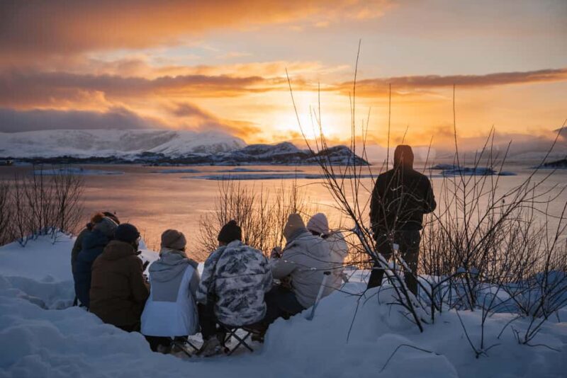 From Tromsø: Arctic Roadtrip Small Group 4x4 Van - Wildlife Encounters in Arctic Norway