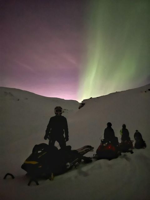 From Tromso: Arctic Wilderness Snowmobile Evening Tour - Return Journey and Final Reflection