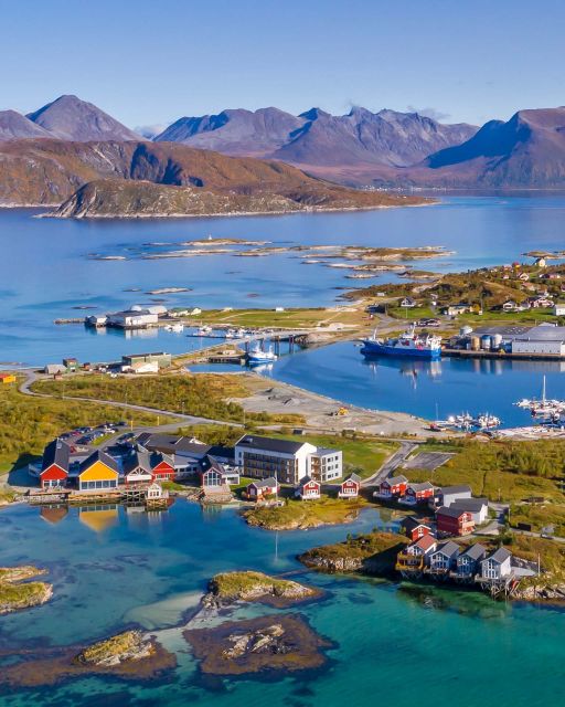 From Tromsø: Arctic Wildlife & Fjord Sightseeing Tour by Car - Scenic Fjord Views and Coastal Stops