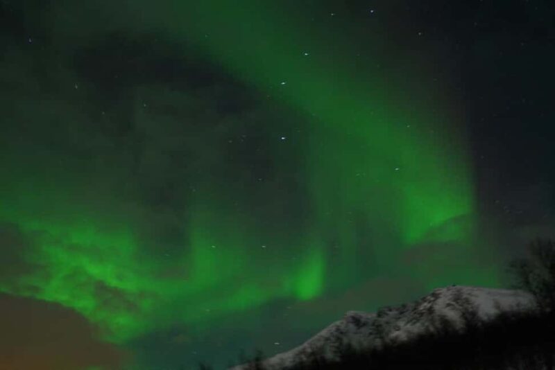 From Tromsø: Aurora Bus Tour with Snacks, Photos, and Drinks - Key Points