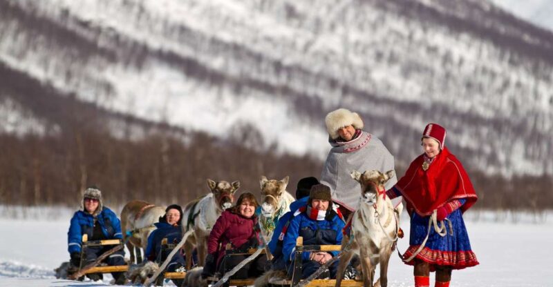 From Tromsø: Daytime Reindeer Sledding at Camp Tamok - Discover Sami Culture and Traditions