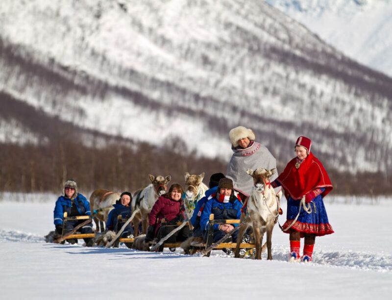 From Tromsø: Daytime Reindeer Sledding at Camp Tamok - Enjoy a Traditional Warm Meal in a Lavvu