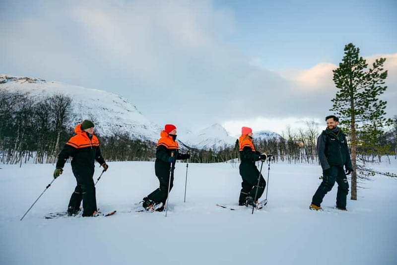 From Tromsø: Daytime Snowshoeing and Snow Park Visit - Meeting the Reindeer and Huskies of Northern Norway