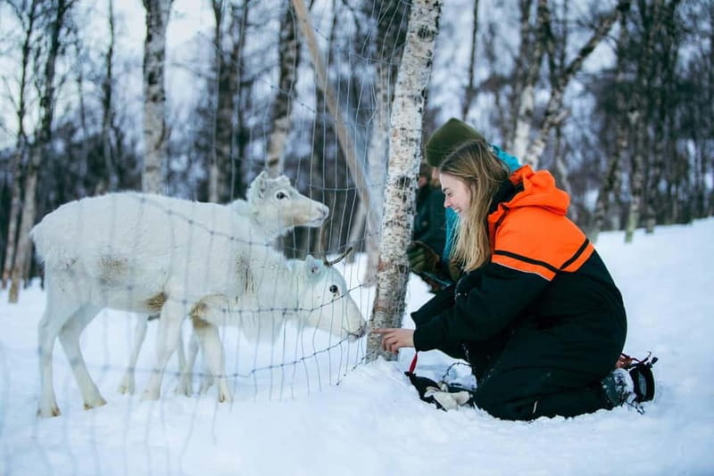From Tromsø: Daytime Snowshoeing and Snow Park Visit - Meeting the Iconic Animals of the North