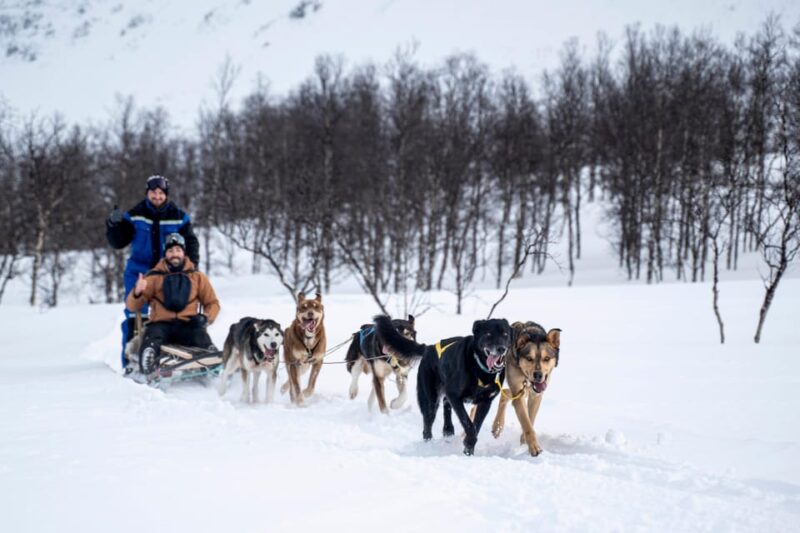 From Tromsø: Dog Sledding Adventure in Tamokdalen - Starting Point and Transport Logistics in Tromsø