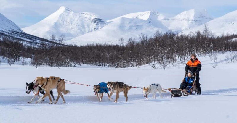 From Tromsø: Dog Sledding Adventure in Tamokdalen - The Husky Sledding Experience: What Happens on the Trail