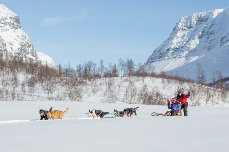 From Tromsø: Dog Sledding Adventure in Tamokdalen - Food, Drinks, and Camp Atmosphere