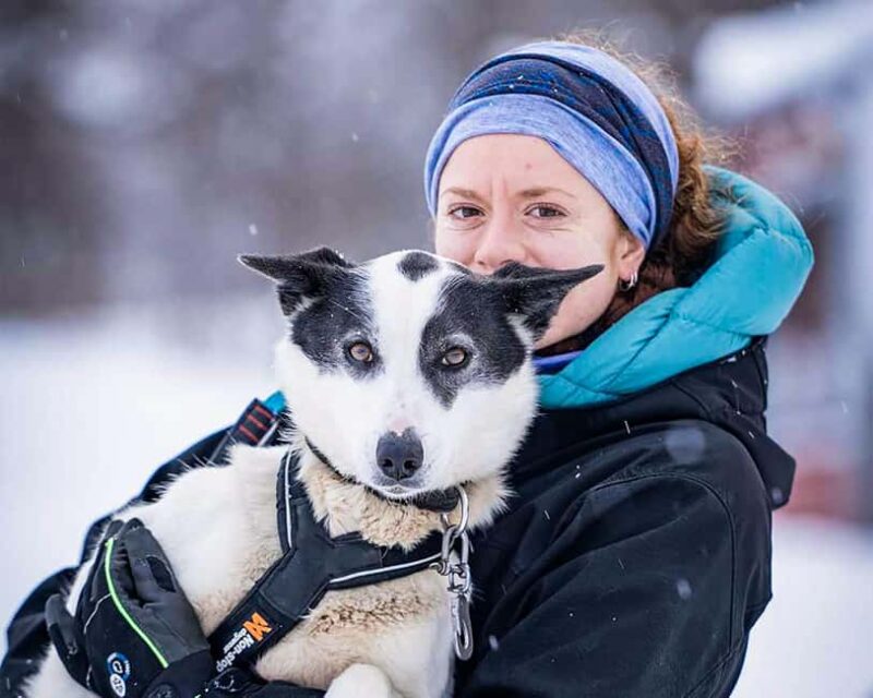 From Tromsø: Dog Sledding Experience with Transfer - Safety Briefing and Instructions from Professional Mushers