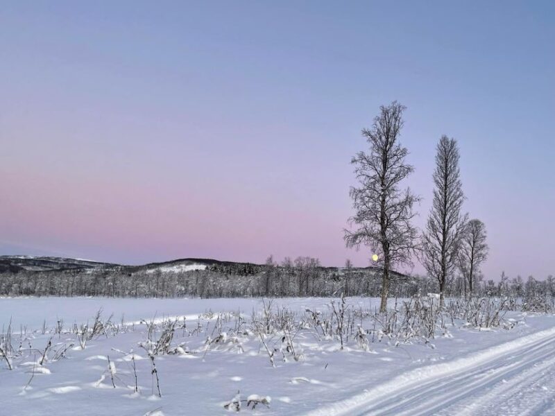 From Tromso: Eco Luxury Snowmobile Adventure to Lyngen Alps - The Scenic Route and Stops in Lyngen Alps