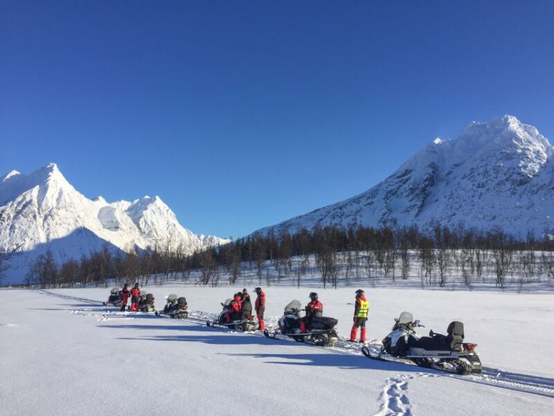 From Tromso: Eco Luxury Snowmobile Adventure to Lyngen Alps - The Expertise of Guides and Group Atmosphere