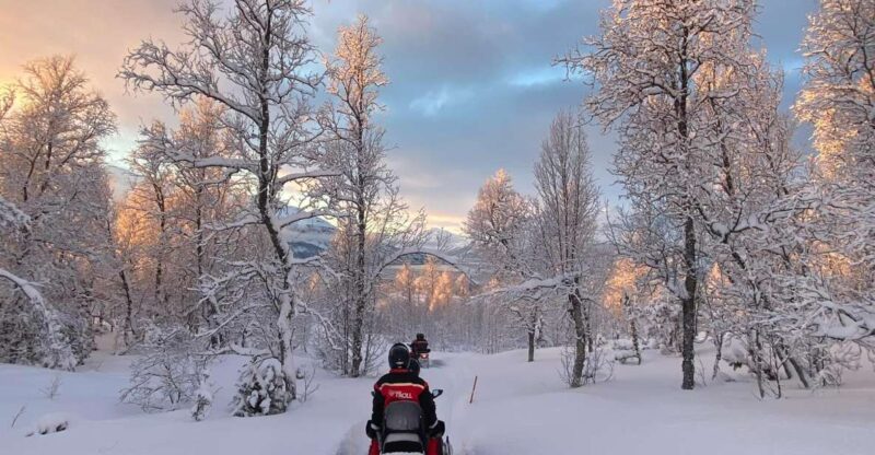 From Tromso: Eco Luxury Snowmobile Adventure to Lyngen Alps - How This Tour Differs from Similar Arctic Adventures