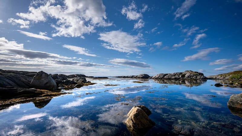 From Tromsø: Experience Vannøya Island Wild, Remote & Real - An 8-Hour Journey into the Heart of Vannøya Island