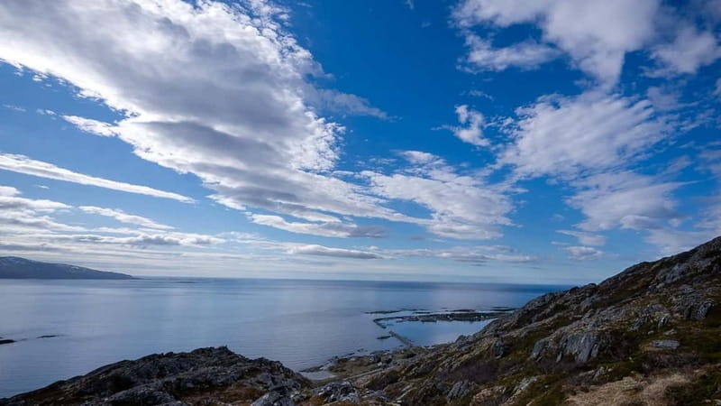 From Tromsø: Experience Vannøya Island Wild, Remote & Real - Relaxing at a White-Sand Arctic Beach