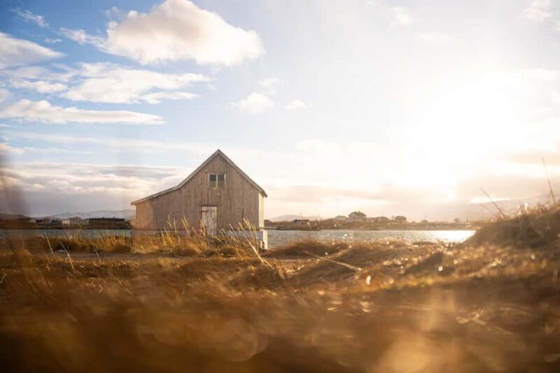 From Tromsø: Fjord Tour with Minivan - From Tromsø: Fjord Tour with Minivan – An Intimate Arctic Adventure