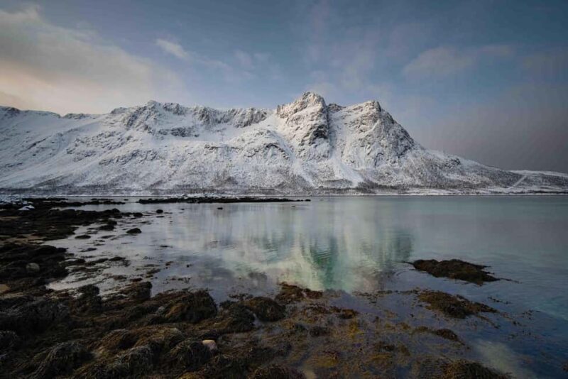 From Tromsø: Fjord Tour with Minivan - What the Tour Includes: Lunch, Drinks, and Scenic Stops