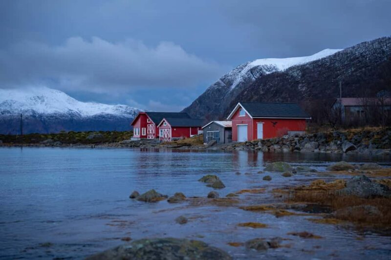 From Tromsø: Fjord Tour with Minivan - The Experience of the Guides and Group Dynamics