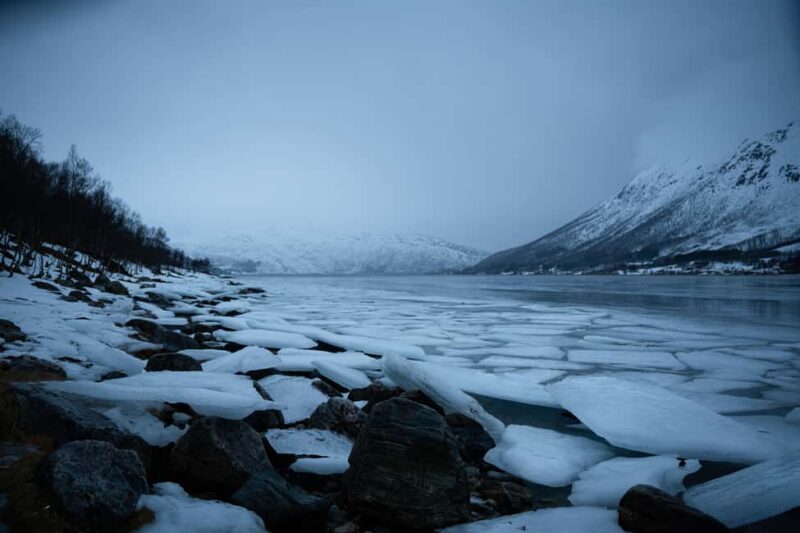 From Tromsø: Fjord Tour with Minivan - Final Thoughts on the Tromsø Fjord Minivan Tour