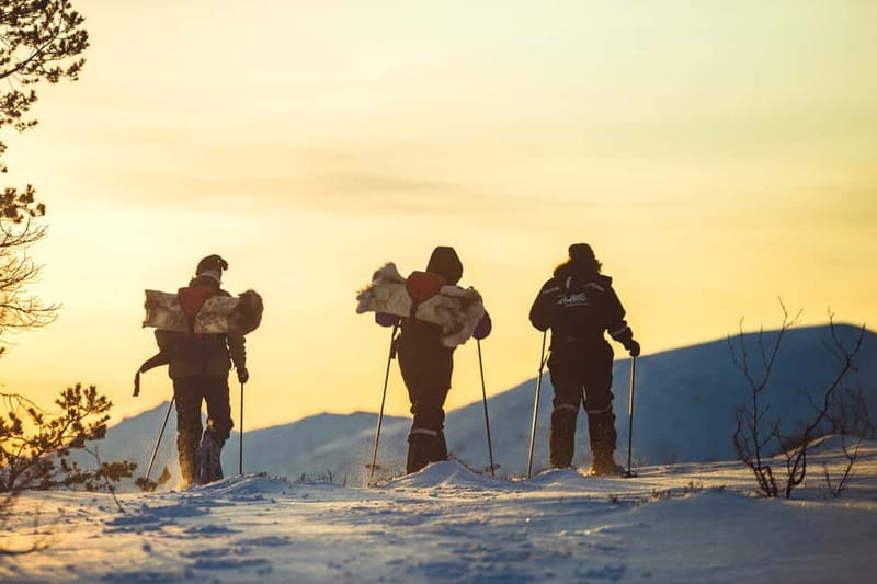 From Tromsø: Guided Husky Snowshoe Hike and Husky Camp Visit - Physical Requirements and Accessibility Notes