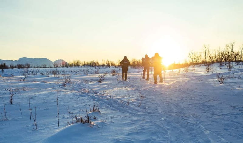 From Tromsø: Guided Husky Snowshoe Hike and Husky Camp Visit - The Role of Guides and Their Expertise