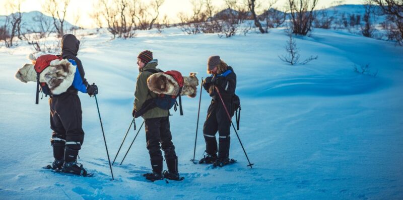 From Tromsø: Guided Husky Snowshoe Hike and Husky Camp Visit - Who Will Love This Tour?