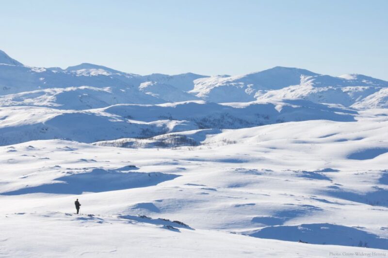 From Tromsø: Guided Snowshoe Hike Experience - Reaching the Mountain Summit and Enjoying the View