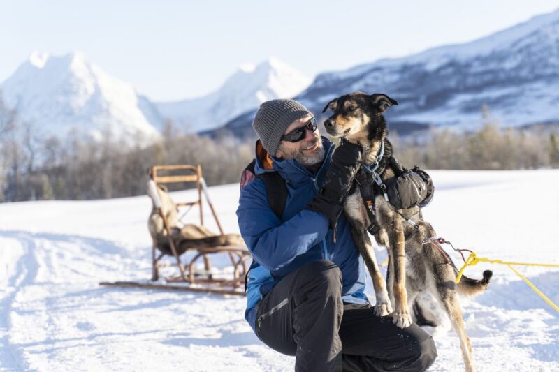 From Tromsø: Husky Experience with Self-Drive Dog Sled Ride - Post-Ride Relaxation with Hot Drinks and Cake