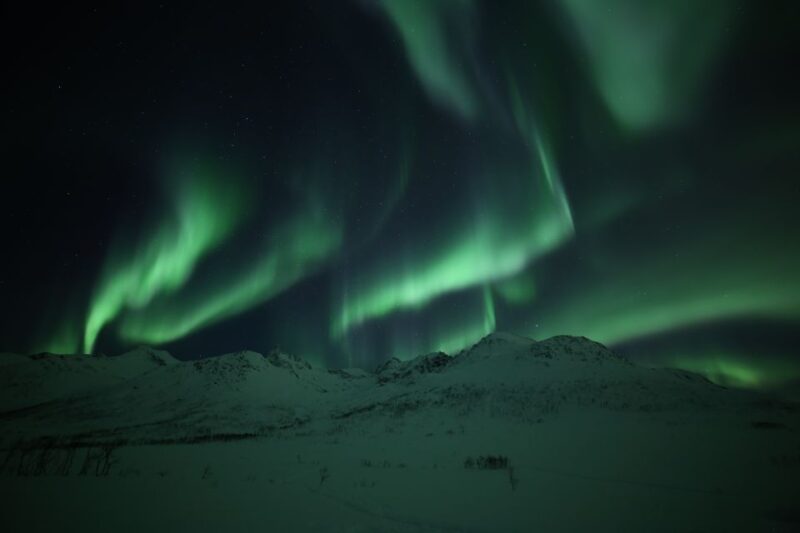 From Tromso: Northern Lights Photography Tour - Review of Customer Feedback and Guide Performance
