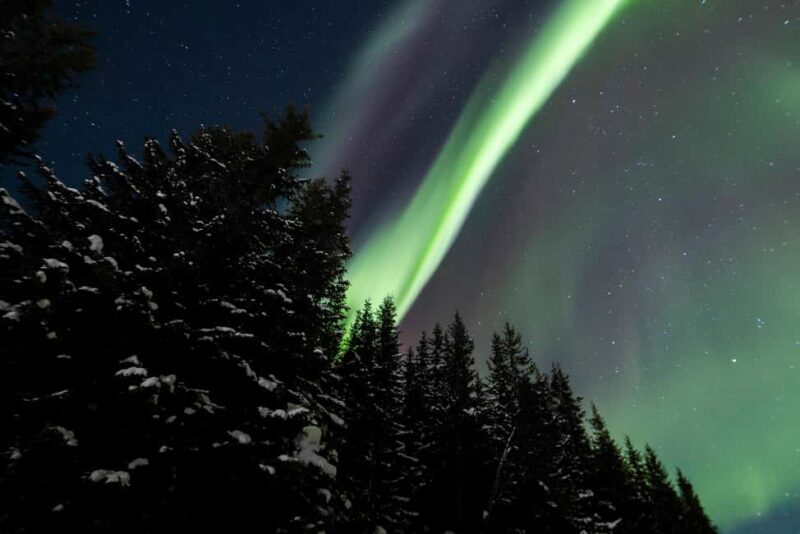 From Tromsø: Northern Lights Visit at Camp Tamok - Meeting Point and Logistics Details
