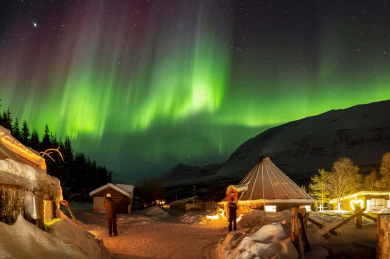 From Tromsø: Northern Lights Visit at Camp Tamok - Reviews and What They Reveal About the Tour