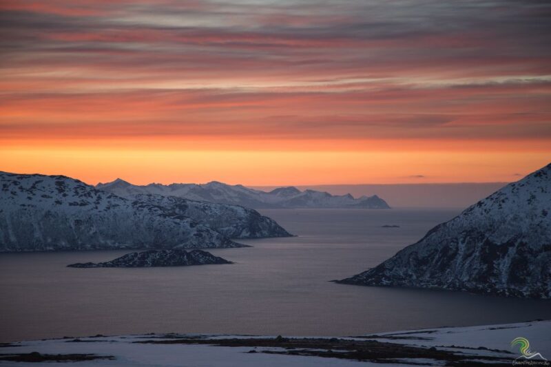 From Tromso: Norwegian Fjords Half-Day Tour - Guided Photography and Scenic Stops