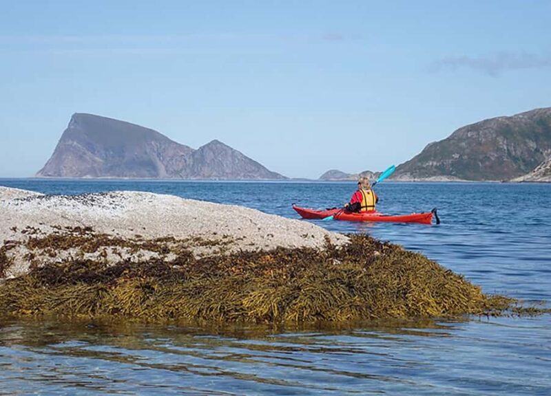 From Tromsø: Sea Kayaking Tour at Sommarøy - Comparing This Tour to Other Options in Tromsø