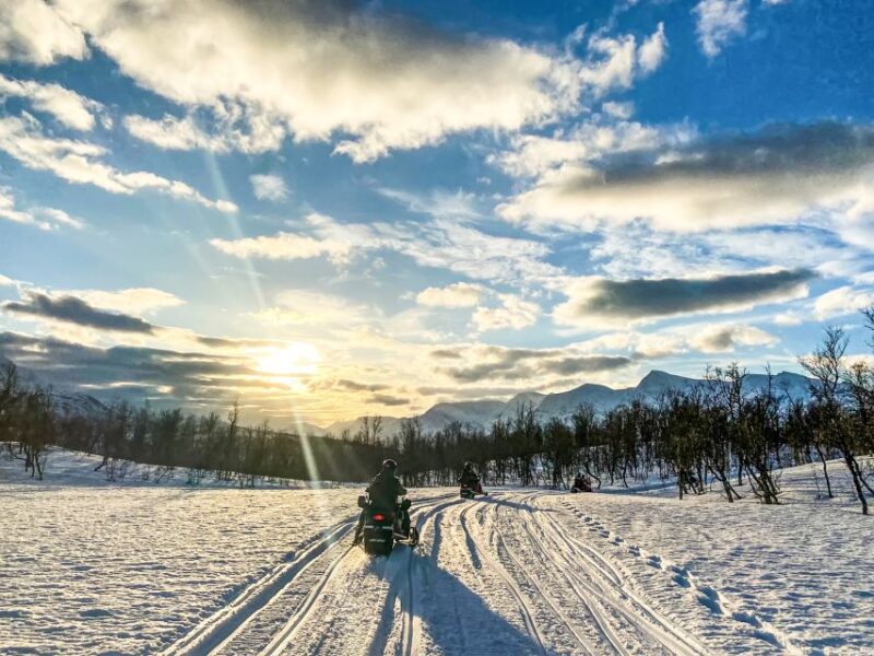 From Tromsø: Snowmobile Safari in the Lyngen Alps - How the Tour Compares to Similar Experiences