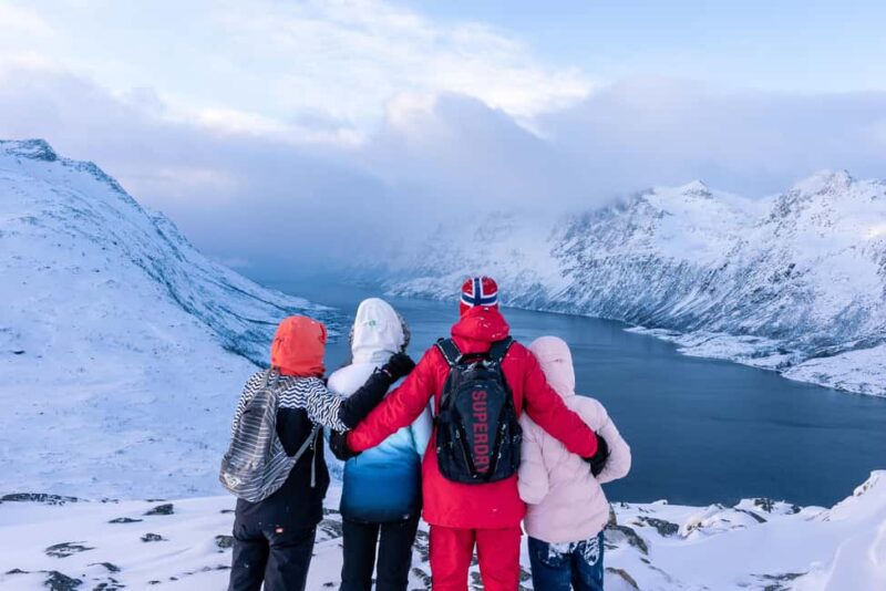 From Tromsø: Snowshoe Hike with Local Guides - Key Points