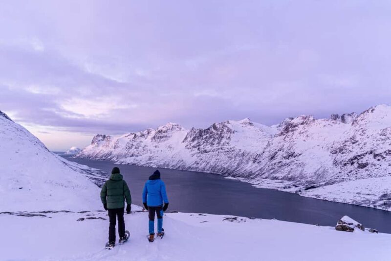 From Tromsø: Snowshoe Hike with Local Guides - Flexibility and Weather Dependence