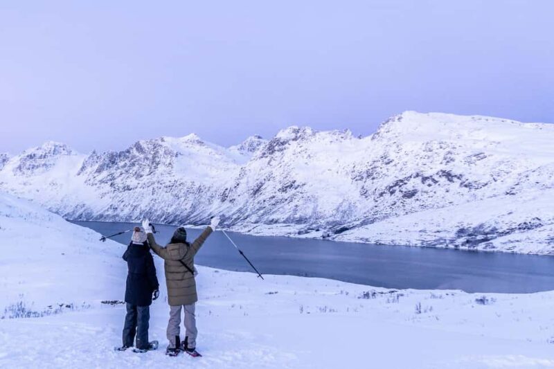 From Tromsø: Snowshoe Hike with Local Guides - Cost, Cancellation, and Booking Options