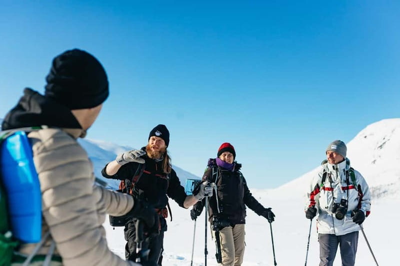 From Tromsø: Snowshoeing Hike with Picnic Lunch and Photos - Key Points