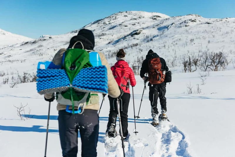 From Tromsø: Snowshoeing Hike with Picnic Lunch and Photos - A Walk Up a Small Mountain with Panoramic Arctic Views