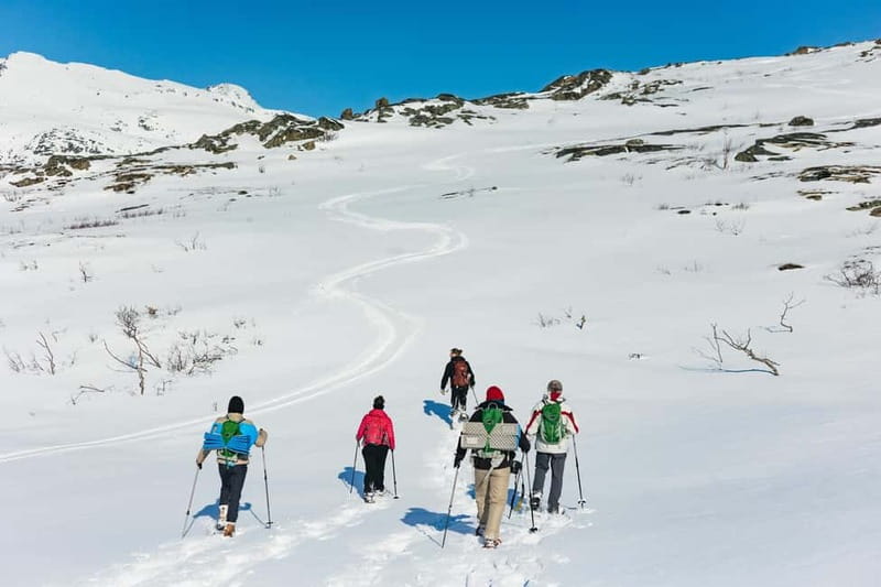 From Tromsø: Snowshoeing Hike with Picnic Lunch and Photos - Guided Snowshoeing with Expert Guides