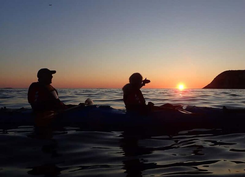 From Tromsø: Sommarøy Midnight Sun Sea Kayaking Tour - Wildlife Encounters and Marine Life Sightings