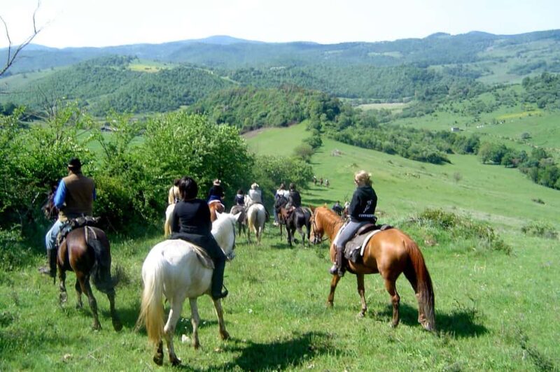 From Tropea: Horseback Riding Tour with Picnic in Francica - The Picnic: Tasting Local Delights in Nature