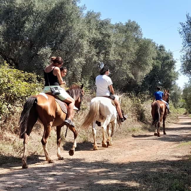 From Tropea: Horseback Riding Tour with Picnic in Francica - The Experience of Riding in Calabrias Green Hills