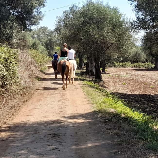 From Tropea: Horseback Riding Tour with Picnic in Francica - The Sum Up: A Scenic and Tasty Ride in Calabrias Countryside